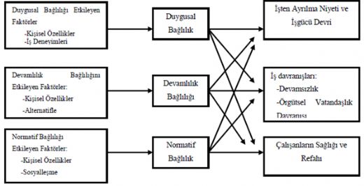 Örgütsel Bağlılık