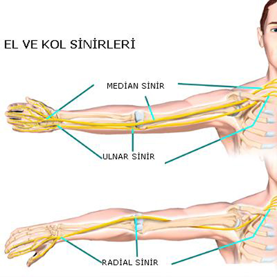 Elde Sinir Sıkışması Belirtileri ve Tedavisi