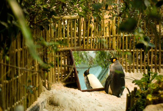 Narsizm Kişinin Kendine Güvenmesi ve Büyük Görmesidir
