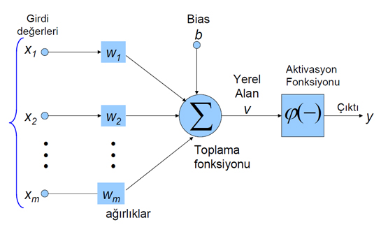 Yapay Sinir Ağları Nasıl Oluşur