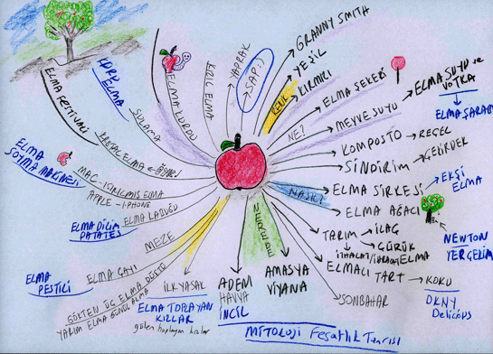 Zihin Haritasının Özellikleri